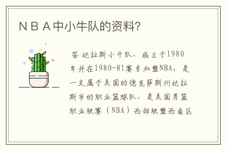 NBA中小牛队的资料?