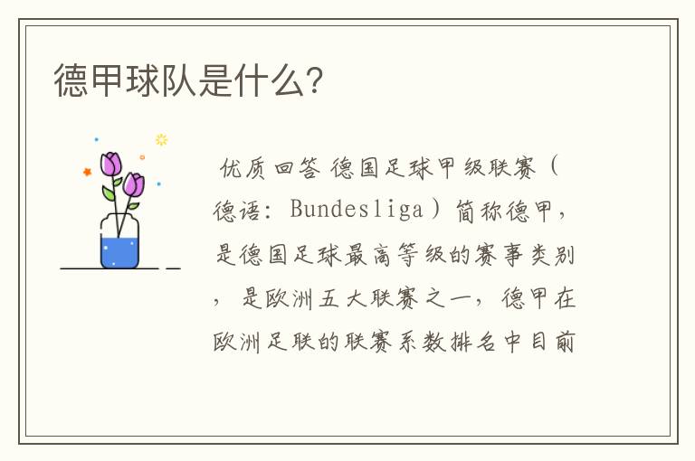 德甲球队是什么?