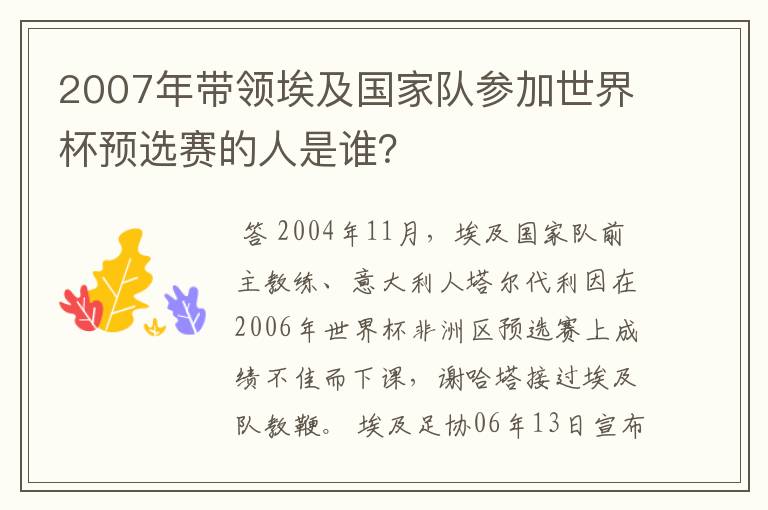 2007年带领埃及国家队参加世界杯预选赛的人是谁?