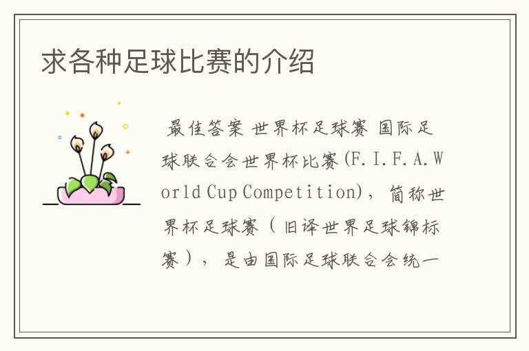 求各种足球比赛的介绍