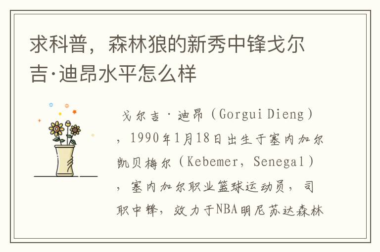 求科普,森林狼的新秀中锋戈尔吉·迪昂水平怎么样