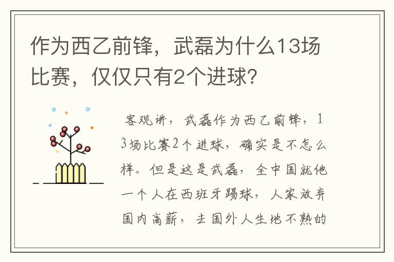 作为西乙前锋,武磊为什么13场比赛,仅仅只有2个进球?