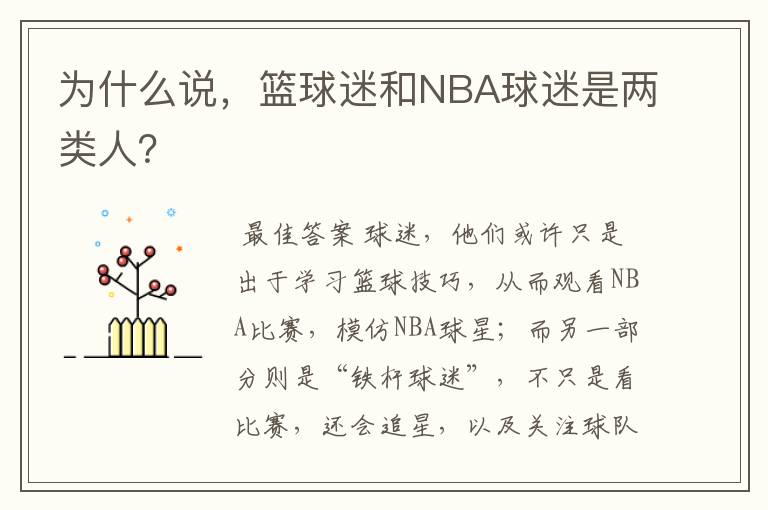 为什么说,篮球迷和NBA球迷是两类人?