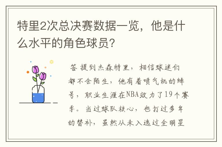 特里2次总决赛数据一览,他是什么水平的角色球员?