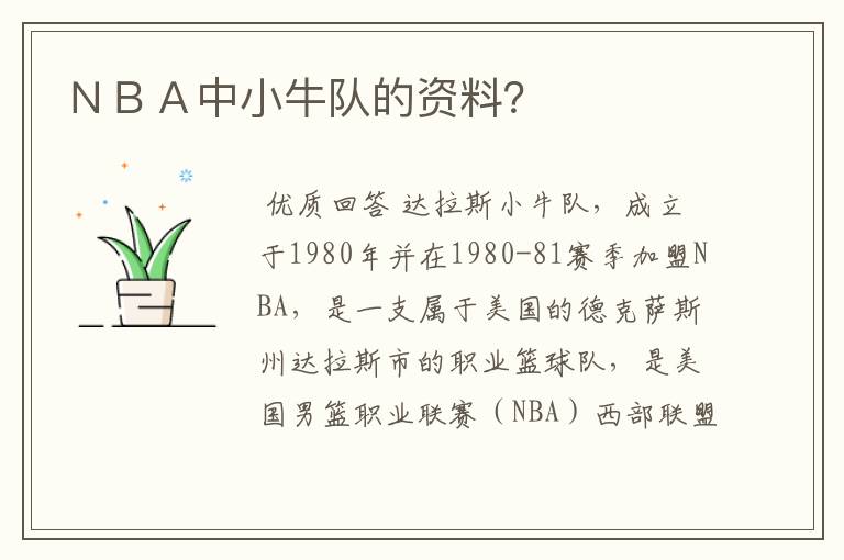 NBA中小牛队的资料?