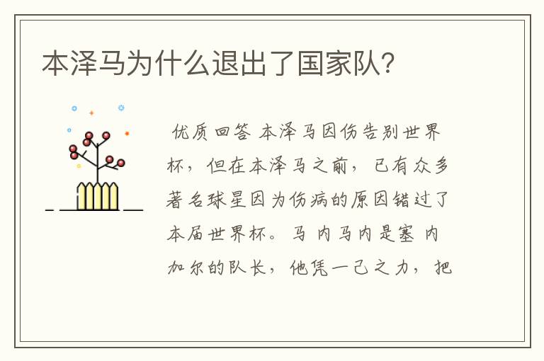 本泽马为什么退出了国家队?