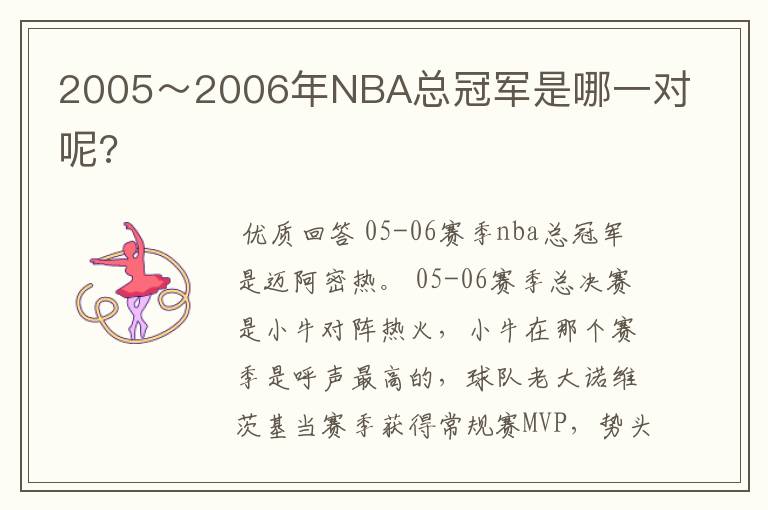 2005~2006年NBA总冠军是哪一对呢?