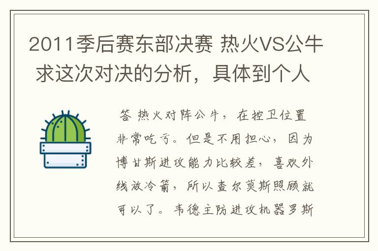 2011季后赛东部决赛 热火VS公牛 求这次对决的分析,具体到个人对位最好不过!
