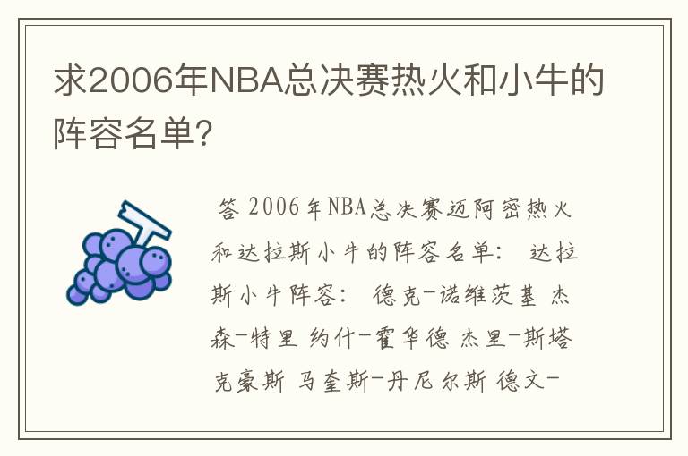 求2006年NBA总决赛热火和小牛的阵容名单?