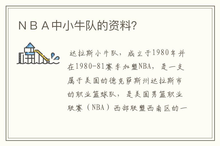 NBA中小牛队的资料?