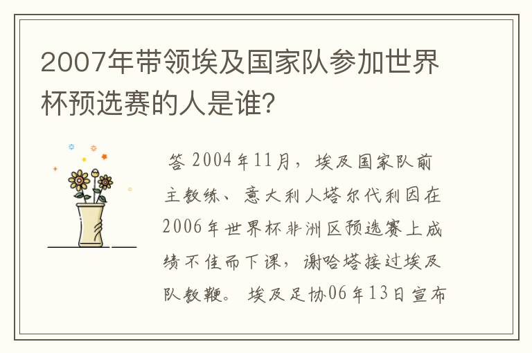 2007年带领埃及国家队参加世界杯预选赛的人是谁?