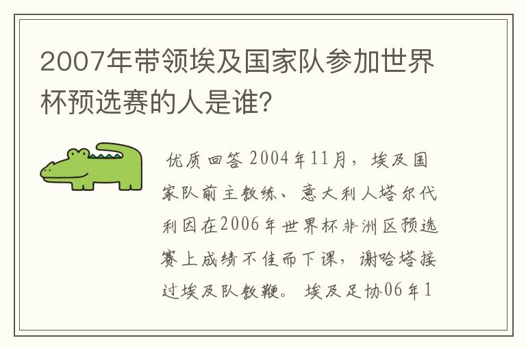 2007年带领埃及国家队参加世界杯预选赛的人是谁?