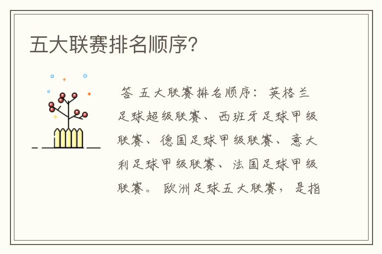 五大联赛排名顺序?