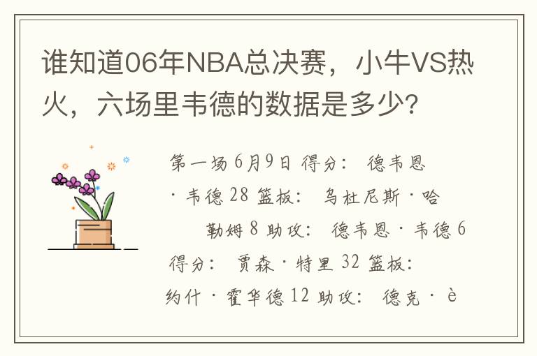 谁知道06年NBA总决赛,小牛VS热火,六场里韦德的数据是多少?
