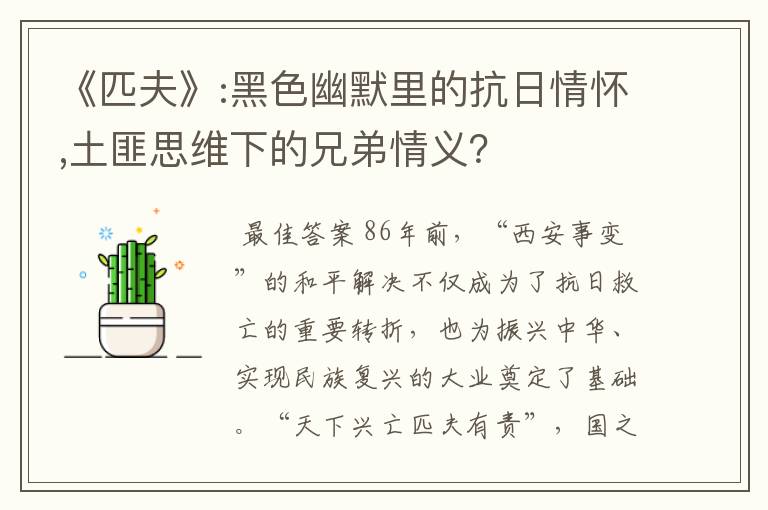 《匹夫》:黑色幽默里的抗日情怀,土匪思维下的兄弟情义?