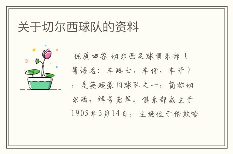 关于切尔西球队的资料