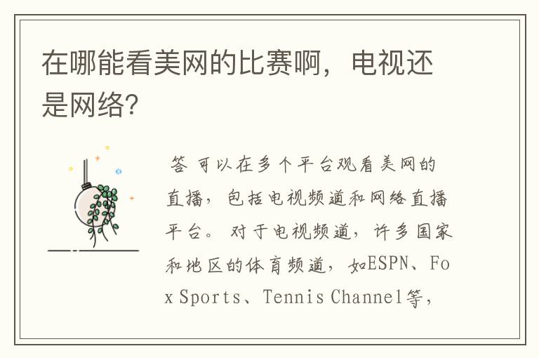在哪能看美网的比赛啊,电视还是网络?
