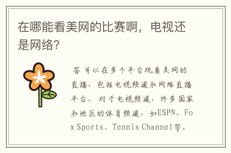 在哪能看美网的比赛啊,电视还是网络?