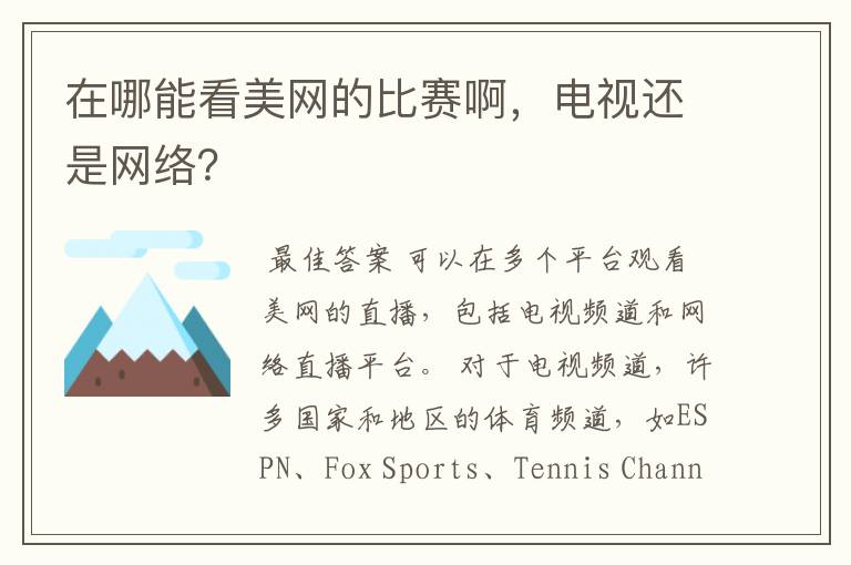 在哪能看美网的比赛啊,电视还是网络?
