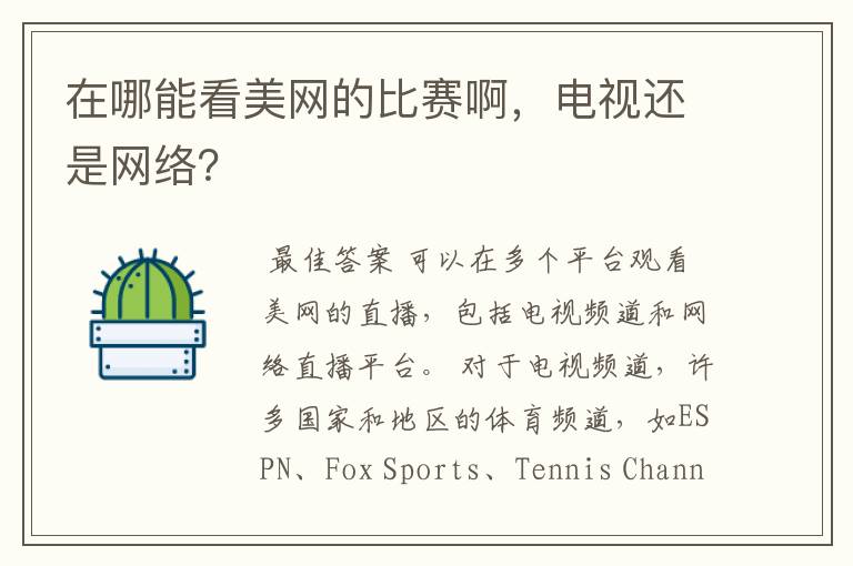 在哪能看美网的比赛啊,电视还是网络?