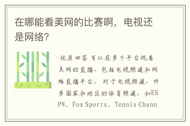 在哪能看美网的比赛啊,电视还是网络?