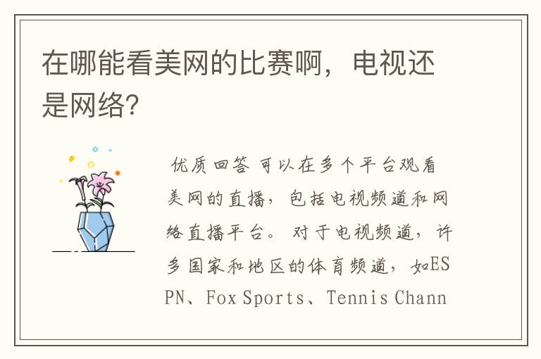在哪能看美网的比赛啊,电视还是网络?