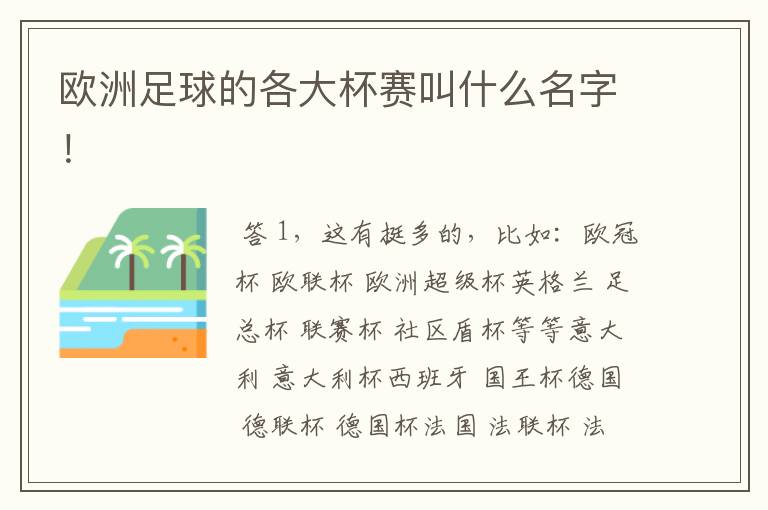 欧洲足球的各大杯赛叫什么名字!