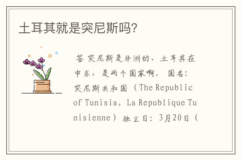 土耳其就是突尼斯吗?