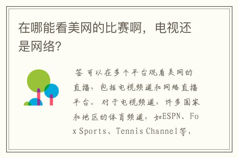 在哪能看美网的比赛啊,电视还是网络?