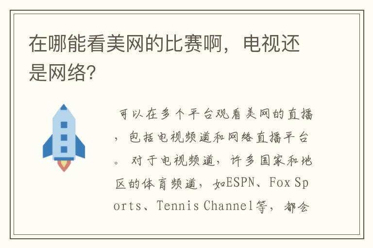 在哪能看美网的比赛啊,电视还是网络?
