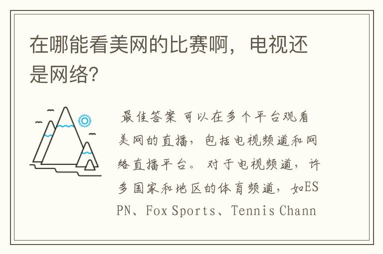 在哪能看美网的比赛啊,电视还是网络?