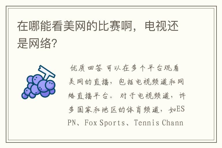在哪能看美网的比赛啊,电视还是网络?