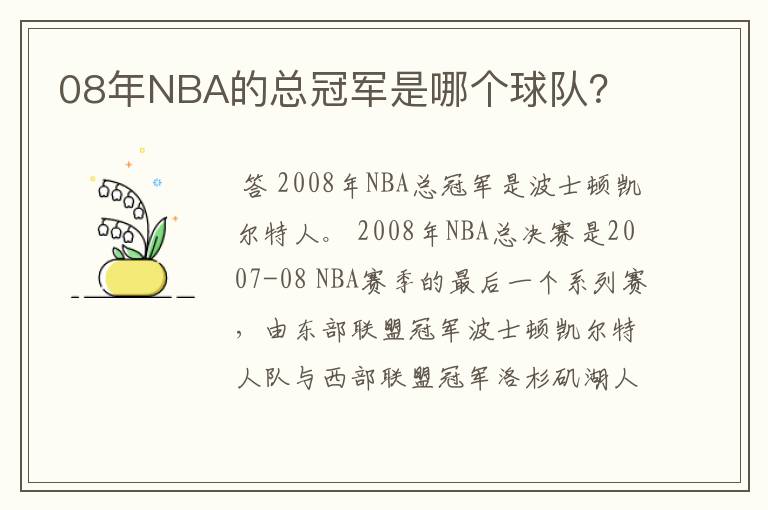08年NBA的总冠军是哪个球队?