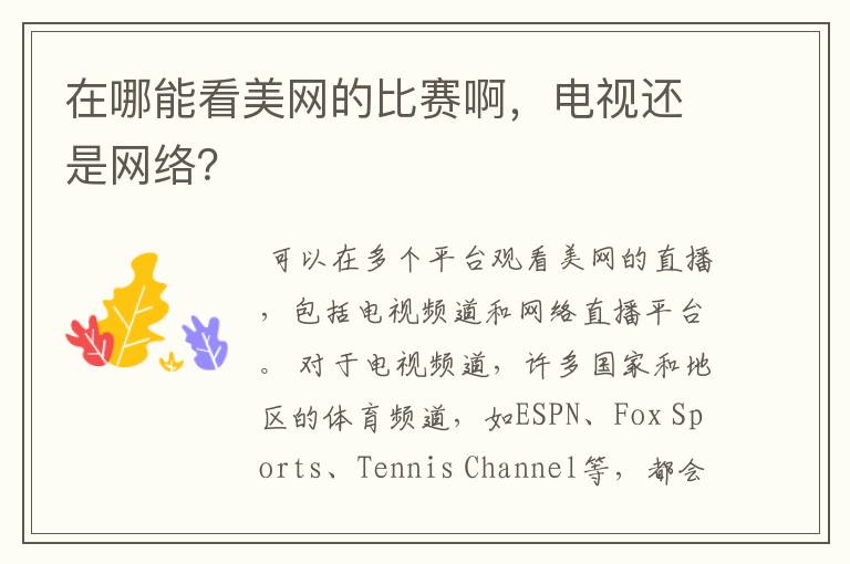 在哪能看美网的比赛啊,电视还是网络?