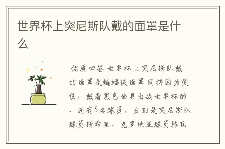 世界杯上突尼斯队戴的面罩是什么