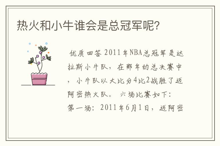 热火和小牛谁会是总冠军呢?