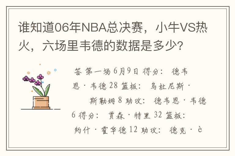 谁知道06年NBA总决赛,小牛VS热火,六场里韦德的数据是多少?