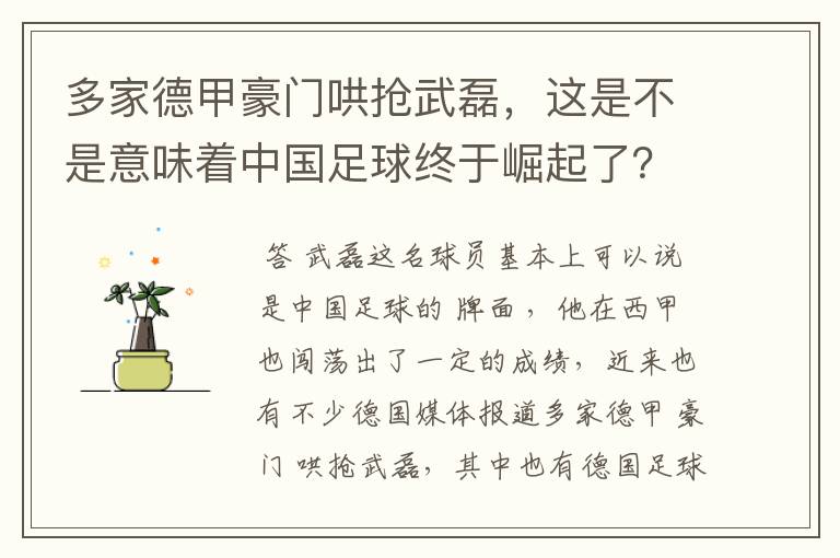 多家德甲豪门哄抢武磊,这是不是意味着中国足球终于崛起了?
