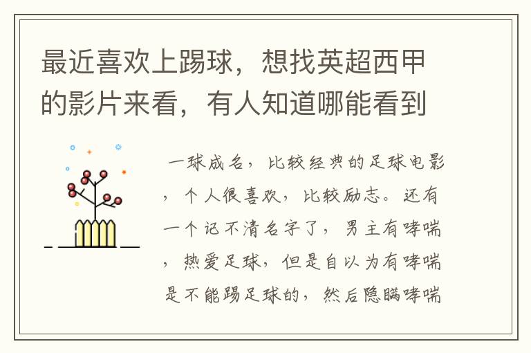 最近喜欢上踢球,想找英超西甲的影片来看,有人知道哪能看到吗