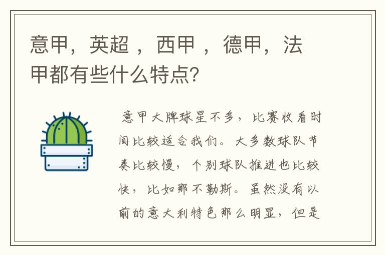 意甲,英超 ,西甲 ,德甲,法甲都有些什么特点?