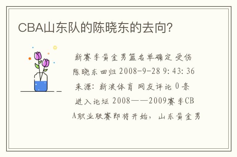 CBA山东队的陈晓东的去向?