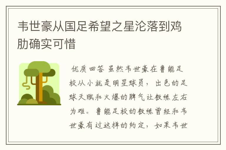 韦世豪从国足希望之星沦落到鸡肋确实可惜