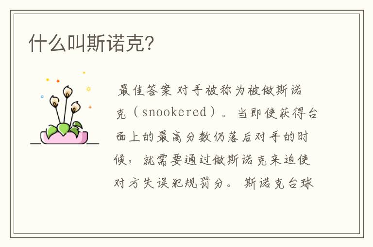 什么叫斯诺克?