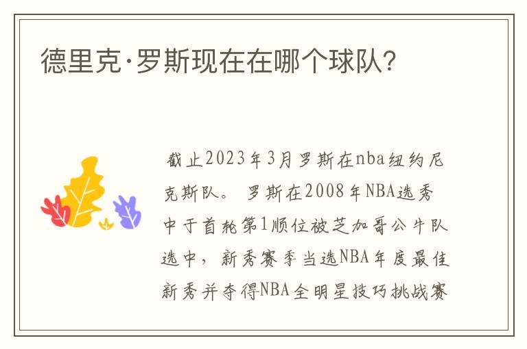 德里克·罗斯现在在哪个球队?