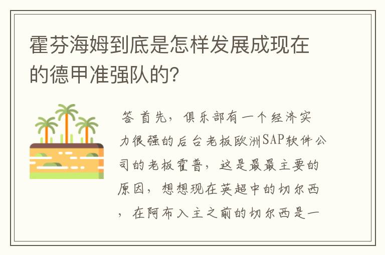 霍芬海姆到底是怎样发展成现在的德甲准强队的?