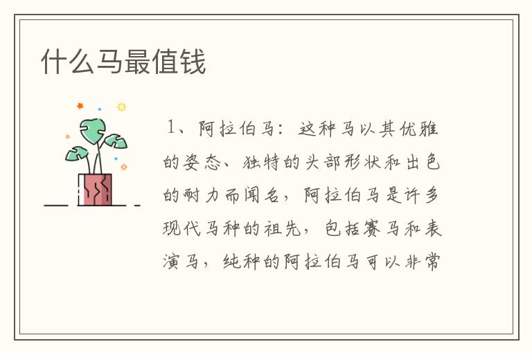 什么马最值钱