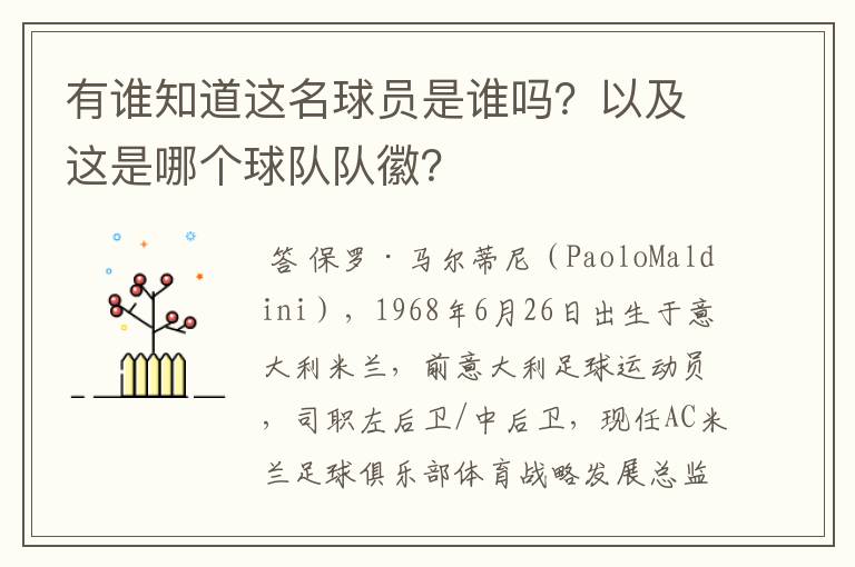 有谁知道这名球员是谁吗?以及这是哪个球队队徽?