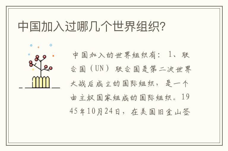 中国加入过哪几个世界组织?