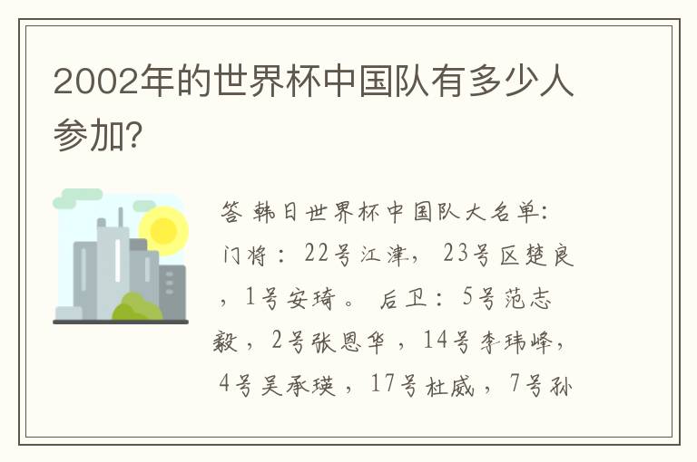 2002年的世界杯中国队有多少人参加?