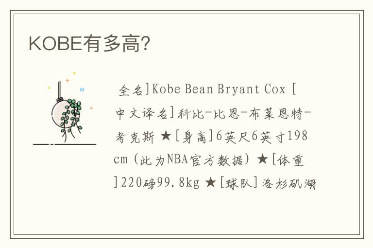 KOBE有多高？